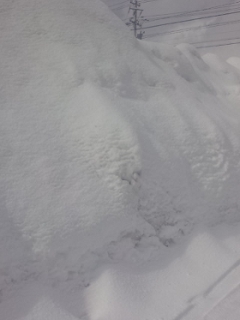 110131_1.jpg