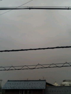 20100321.jpg